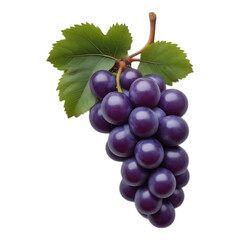 Fototapeta premium Bunch of ripe purple grapes with green leaves on a transparent background