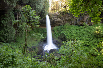 Waterfall in Silver Falls State Park in Oregon.
Summer season, hiking trails without people, romantic landscape with a river and waterfall. Sunny weather.