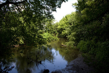 Ukraine Kiev Sea on a sunny summer day