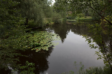 Ukraine Kyiv region landscape on a sunny autumn day