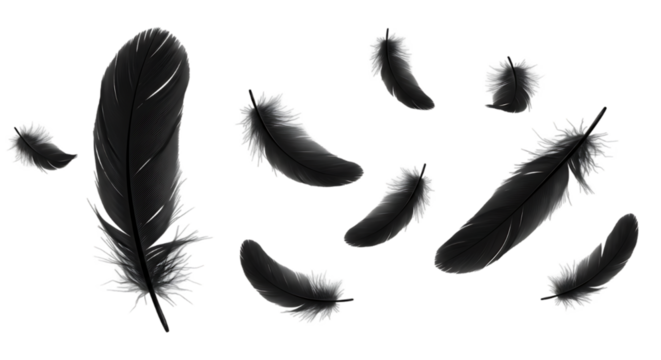 Elegant Arrangement of Floating Black Feathers on a Dark Background Creating a Sense of Mystery and Weightlessness