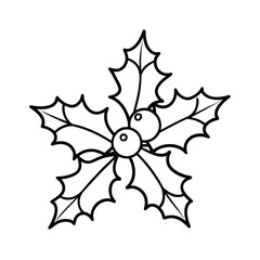 traditional Christmas holly berry illustration