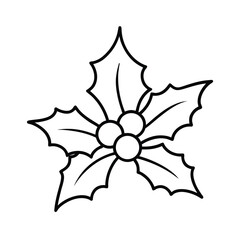 christmas star decoration