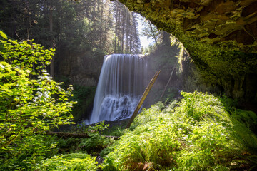 Waterfall in Silver Falls State Park in Oregon.
Summer season, hiking trails without people, romantic landscape with a river and waterfall. Sunny weather.