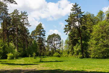 Ukraine Kyiv region landscape on a sunny autumn day