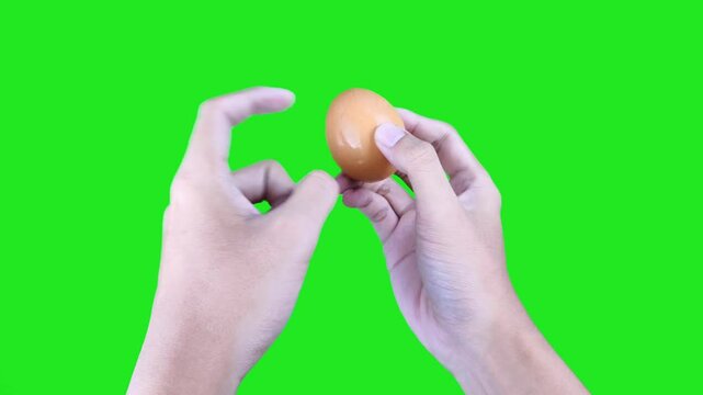 Right hand holds fresh chicken egg and left hand knocking it on green screen background