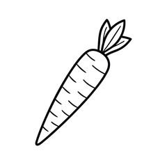 vibrant carrot vector illustration