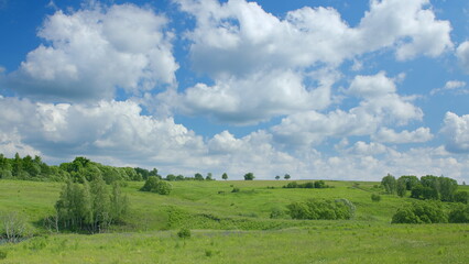 Fototapeta premium Lush Green Rolling Hills Stretching Out Under a Bright Blue Sky Filled with Fluffy Clouds
