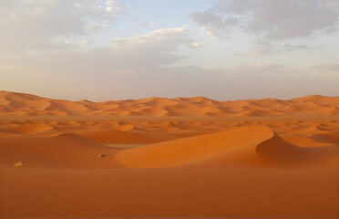 Fototapeta premium Desert Scenery