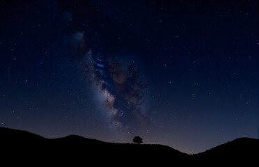 Fototapeta premium Lone Tree Under Starry Sky