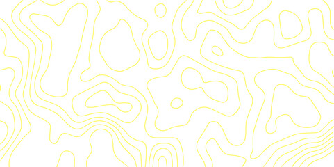 Topographic Map of Mountainous Terrain with Contour Lines