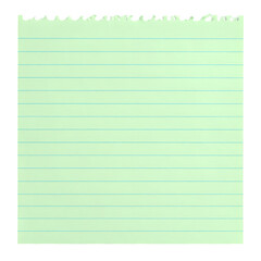 Naklejka premium Torn green lined paper with white edge. isolated on white or transparent png 