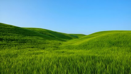 green field and blue sky