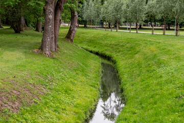 Obraz premium Peaceful park with lush green grass, tall trees, and narrow stream reflecting sky, serene outdoor nature scene in landscaped garden