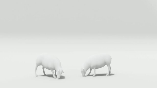 Get high-quality sheep footage with a green screen background. Ideal for video professionals needing ready-for-chroma-key assets for compositing, digital projects, or realistic nature scenes.