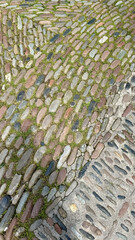 Close-up of a textured path made of round cobblestones with green moss growing between them. Natural outdoor surface background.