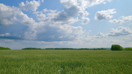 Expansive, Lush Green Fields Stretching Beneath Bright and Fluffy Cloudy Skies Above