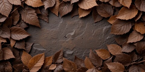 Autumn Leaves Background Frame