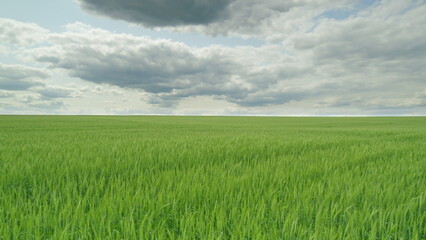 Vast and lush Green Fields Spread Out Expanse Beneath a Beautifully Cloudy Sky Above