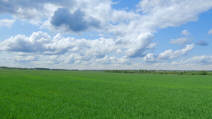 Lush and Vibrant Green Fields Set Against a Beautiful Cloudy Sky Above the Countryside