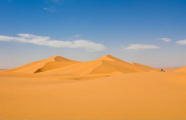 Fototapeta premium Desert Scenery