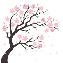 Fototapeta premium Pink cherry blossoms on dark branches pink flowers