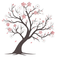 Fototapeta premium Cherry blossom tree with pink and white flowers spring