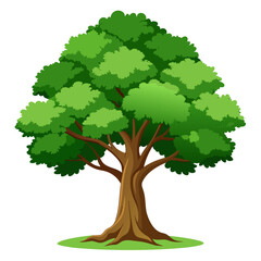 Lush green tree with brown trunk and branches nature © RABBY