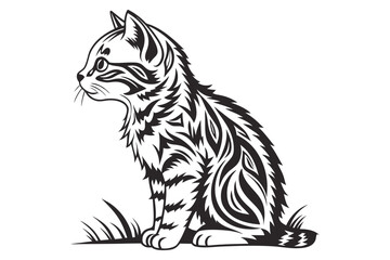 Obraz premium tiger striped cat.