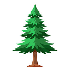 Evergreen coniferous tree with layered green foliage and brown trunk evergreen tree