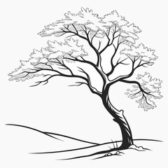 Elegant deciduous tree with flowing branches foliage