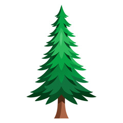 Evergreen pine tree with layered green foliage and brown trunk conifer nature