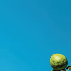Fresh guava basking under bright tropical sunlight against azure background a simple and striking composition