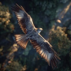 Majestic bird of prey gliding through the forest canopy in golden light aerial perspective nature wildlife