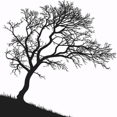 Obraz premium Black bare tree silhouette on white background branches