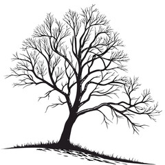 Obraz premium Black silhouette of a bare tree with intricate branches black and white winter
