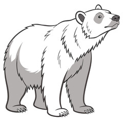 White bear looking up polar bear grey