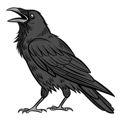 Fototapeta premium Black crow with open beak raven bird