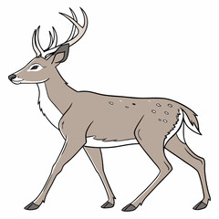 Majestic deer with impressive antlers stag animal