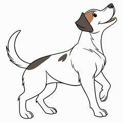 Happy dog with brown patches puppy animal