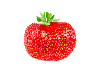 Strawberry fruit isolated on transparent background. Big strawberry. PNG format