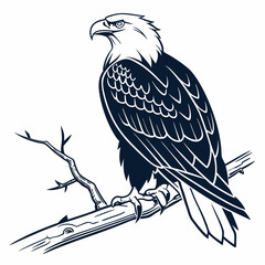 Majestic eagle perched on branch bird wildlife