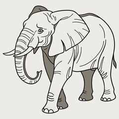 African elephant walking on plain background mammal