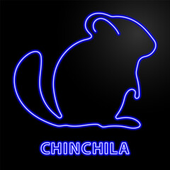 chinchila neon sign, modern glowing banner design, colorful modern design trends on black background. Vector illustration.