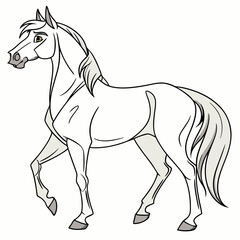 Elegant white horse walking equine animal