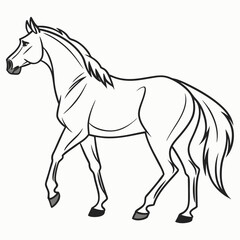 Elegant horse walking on white background equine animal