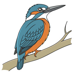 Blue and orange kingfisher perched on branch bird