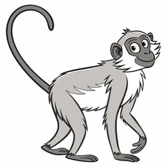 Cartoon monkey walking on white background animal primate
