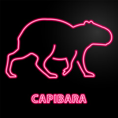 capibara neon sign, modern glowing banner design, colorful modern design trend on black background. Vector illustration.