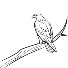 Majestic eagle perched on a branch bird wildlife